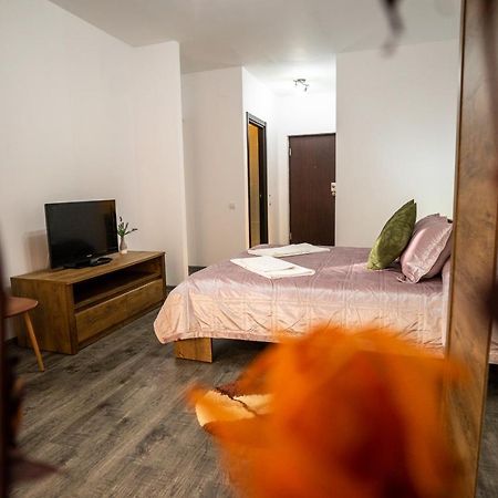 Seasons Primab Studio Braşov Eksteriør billede